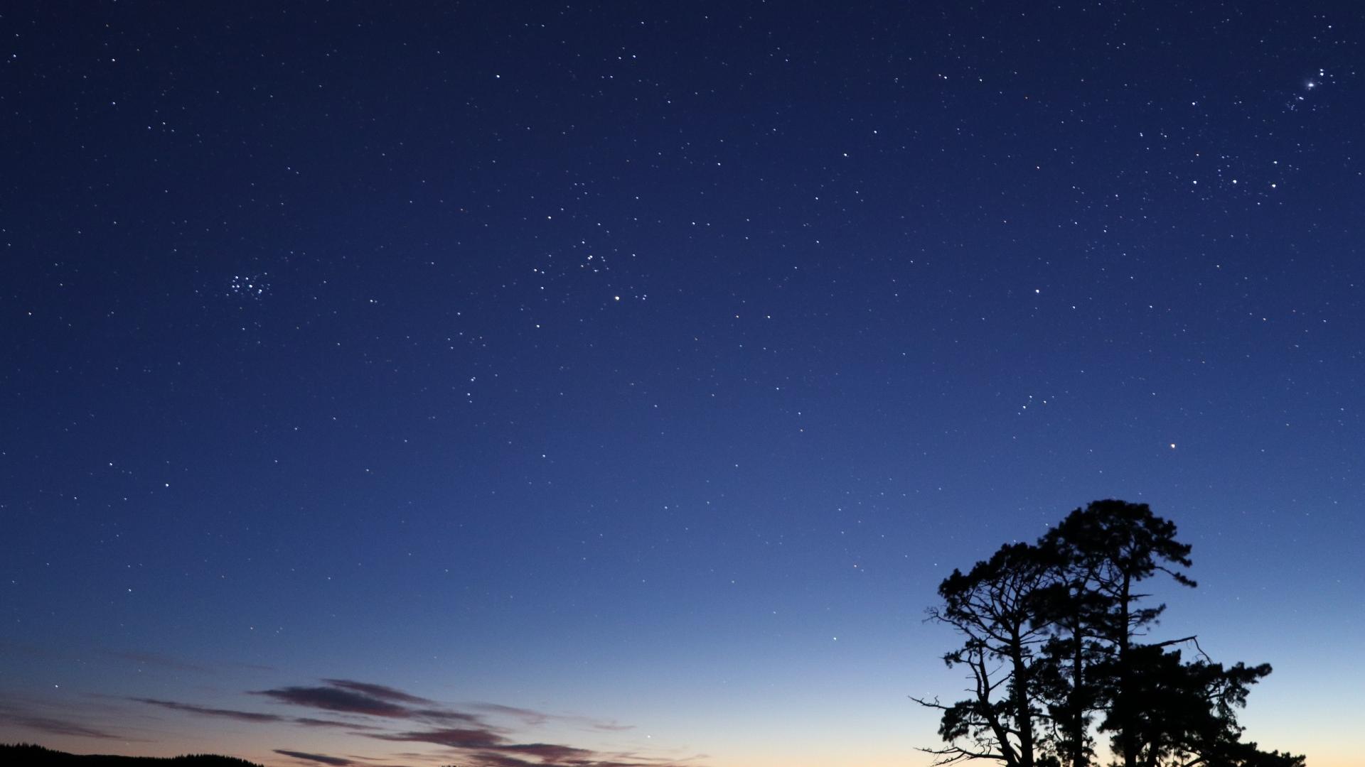 #htmlcaption-8 Matariki